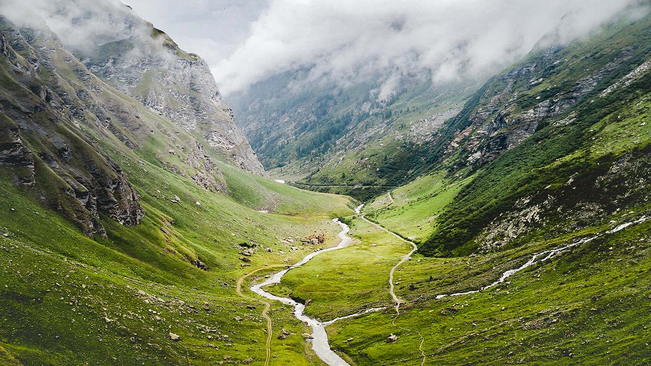 Mentalreise