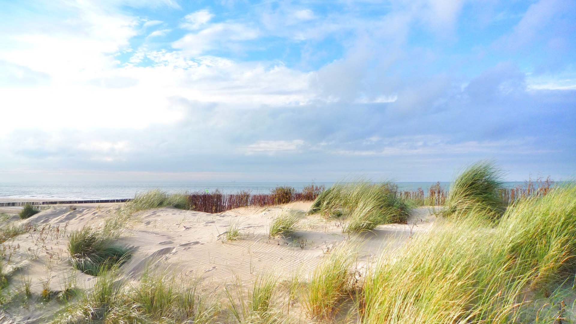Traumreise-Text-am-Meeresstrand